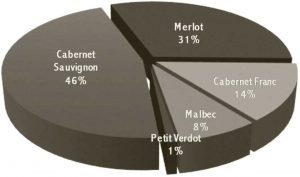 encepagement-cabernet-sauvignon-franc-merlot-malbec-coteau-rive-droite